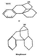 Full size image: 11 kB