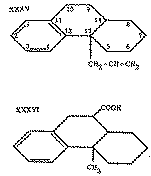 Full size image: 10 kB