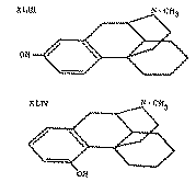 Full size image: 10 kB