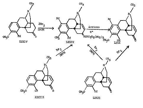 Full size image: 32 kB, Chart X
